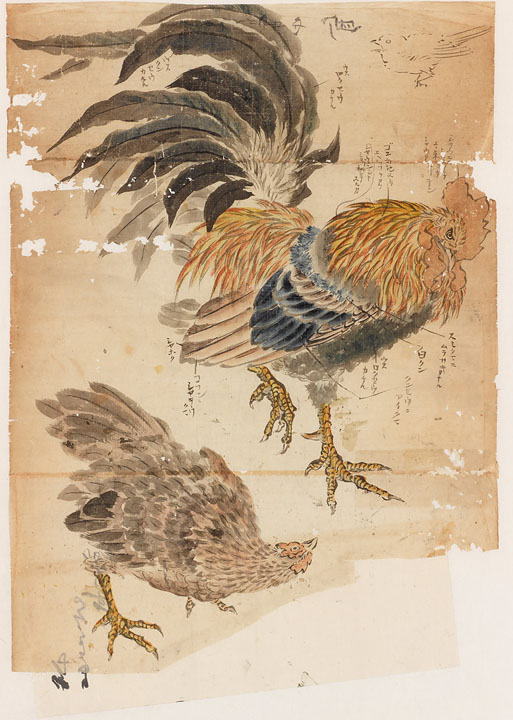 にわ鳥
