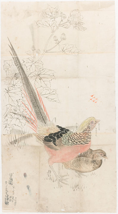 錦鶏雌（ﾏﾏ）芙蓉之図